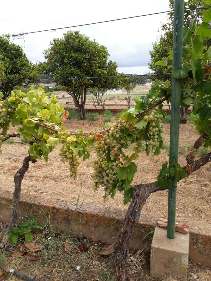 Alojamento de Turismo Rural Maison Beatriz Lagos