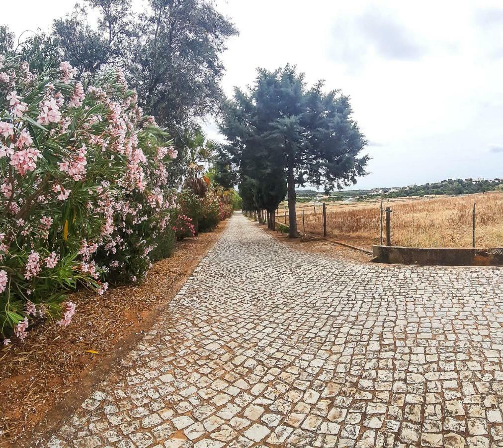 Maison Beatriz Alojamento de Turismo Rural