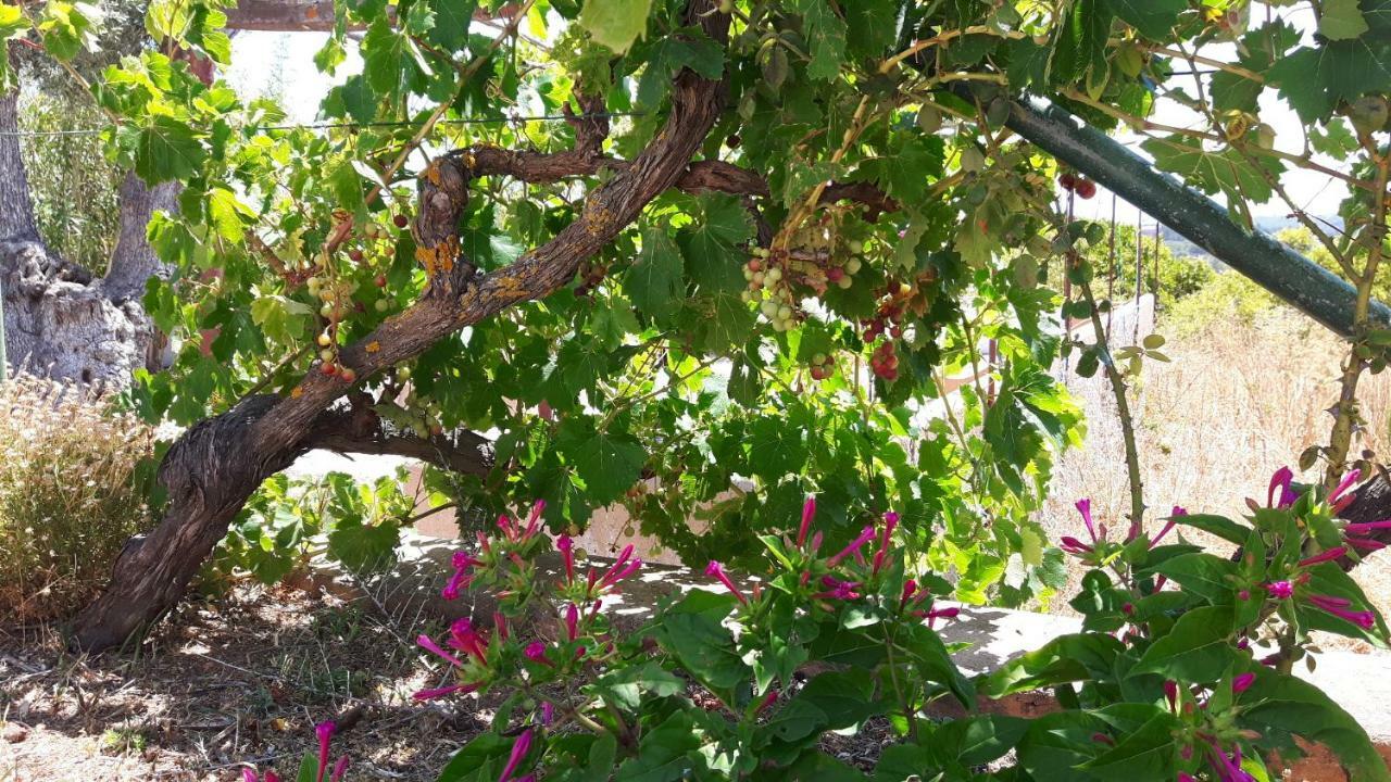Alojamento de Turismo Rural Maison Beatriz